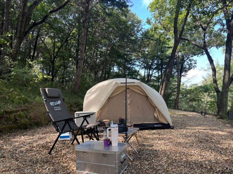 [마리원관광농원캠핑장]제철 대하, 전어회와 함께♡