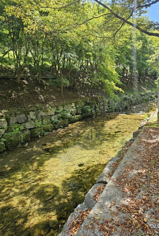 화순 한천자연휴양림 캠핑장 2박 3일 휴가
