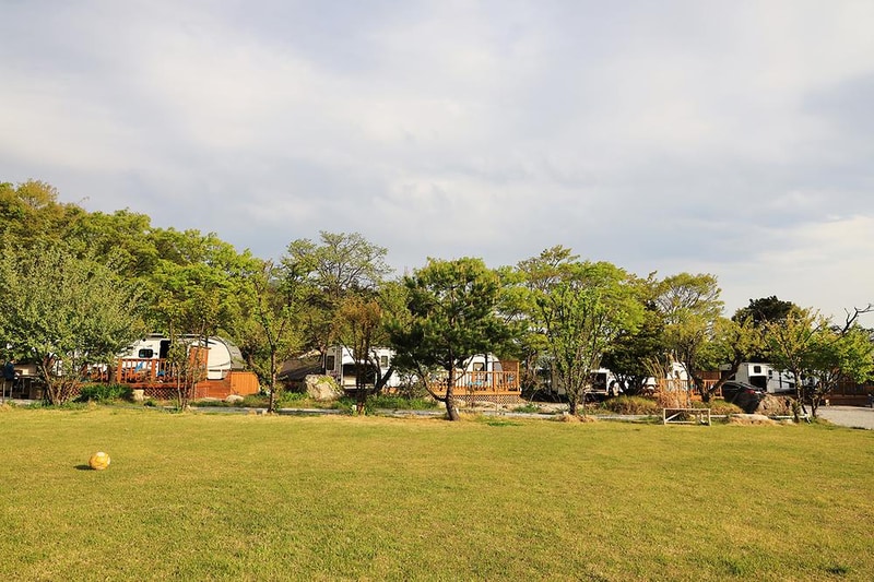 와우파크 시설 사진 17