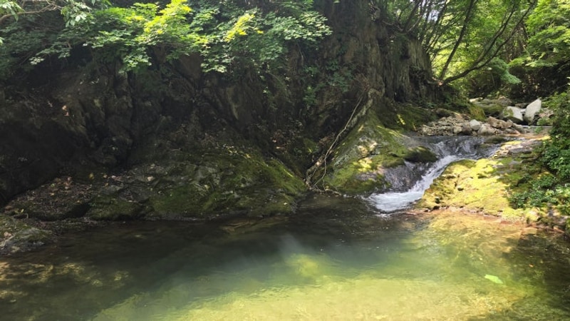 08.01-03 계곡&방갈로 천하무적 여름캠핑️ #별빛오토캠핑장