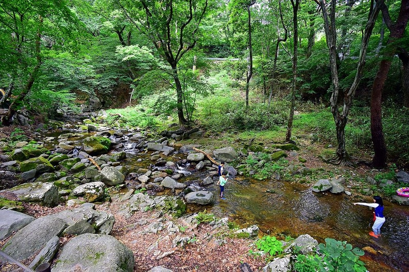 삼정야영장 시설 사진 5