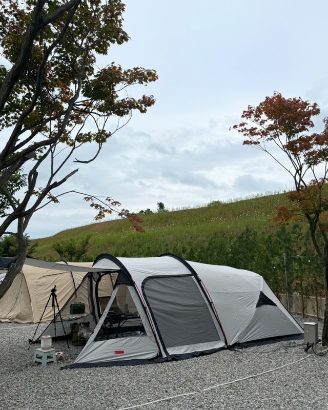 캠핑 #26 안성캠핑장 , 안성 용설호 해바라기캠핑장 _ 에르젠...