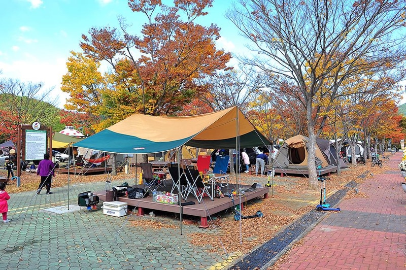 당항포관광지 오토캠핑장 시설 사진 6