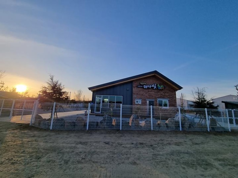 해가빛 캠핑장 대표 사진