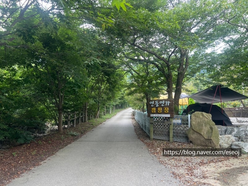 충남 아산 연풍연가 캠핑장 / D5 두가족 사이트