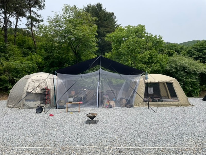 청주 노리터 키즈캠핑장_패밀리존 사이트(명당자리, 장단점...