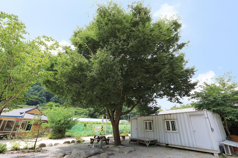 산골펜션캠핑장 시설 사진 2