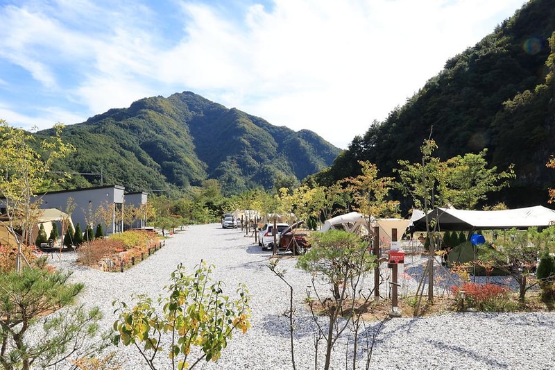 우니메이카 정선 시설 사진 18