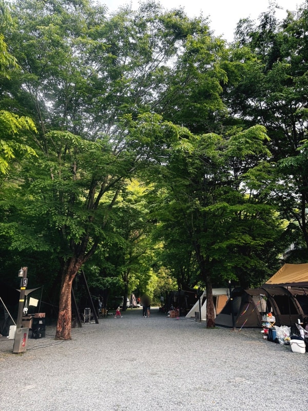 [캠핑] 영월 - 영월가자 펜션&캠핑장 (2025.06)