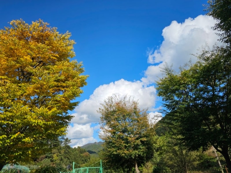 2025년 가평 캠프올모에서