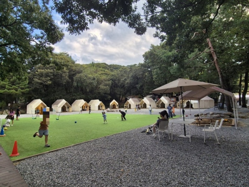 용인 글램핑장 캠프1361 당일치기 바베큐 수영장까지...