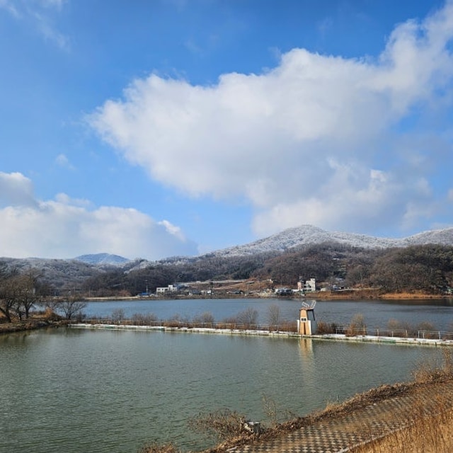 용설호 해바라기캠핑장 대표 사진