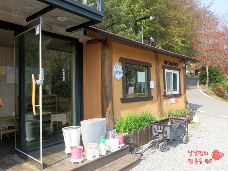 맘에 쏘옥 든 가평 파인포레스트 글램핑