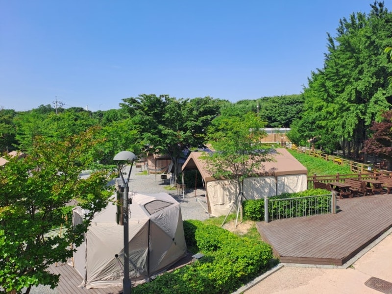 구리토평가족캠핑장,반려동물과 함께하는 가을 캠핑