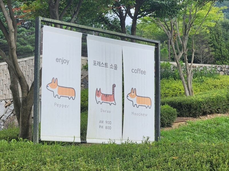 가평/포레스트 소울캠핑장(애견동반가능)