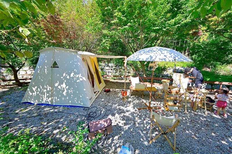 자두마을 대표 사진