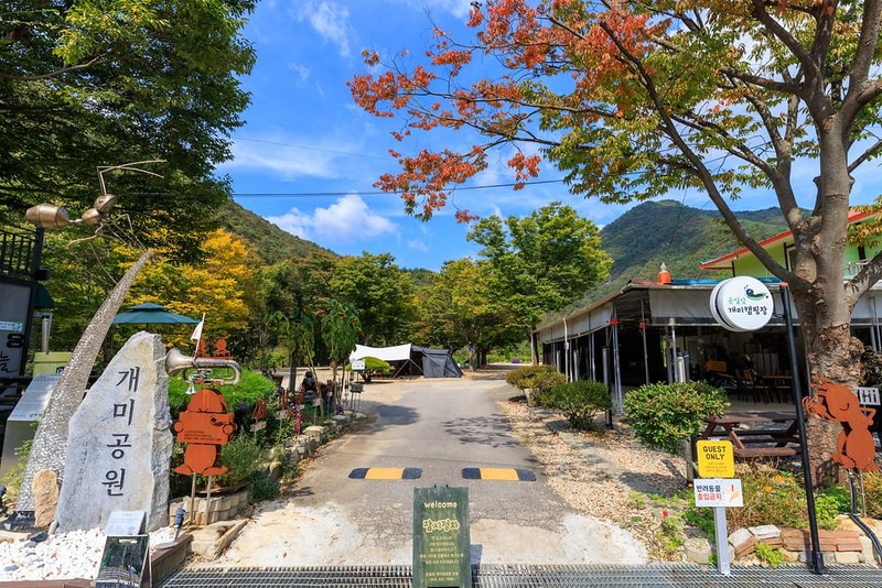 운일암개미캠핑장 시설 사진 18
