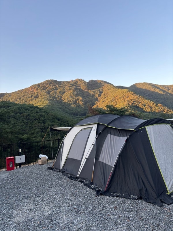 경남 고성 캠핑장 시설 끝판왕 숲속 캠핑 모든날오토캠핑장...