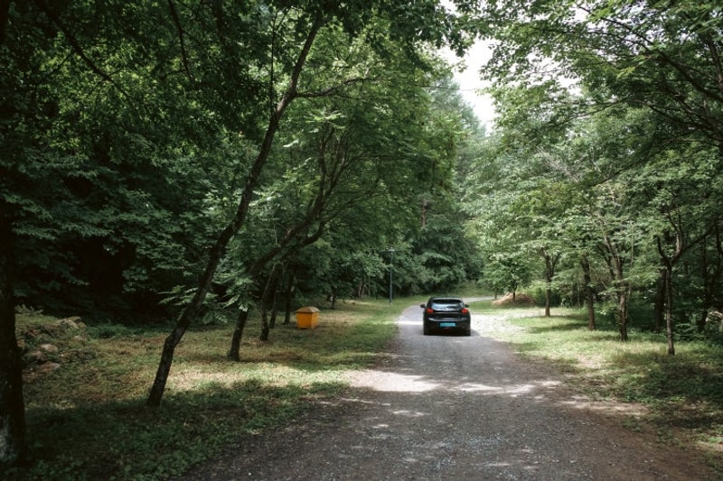 태백 고원자연휴양림 야영장 노지 사이트