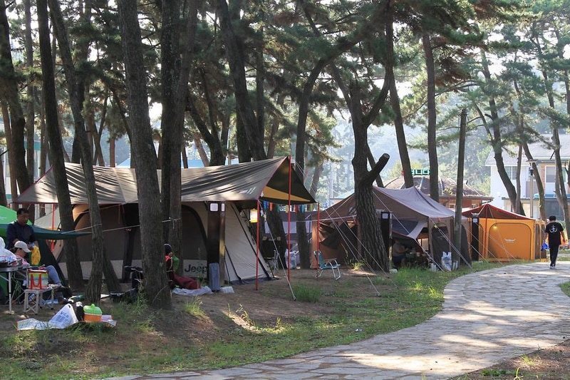 대천해수욕장 야영장 시설 사진 16