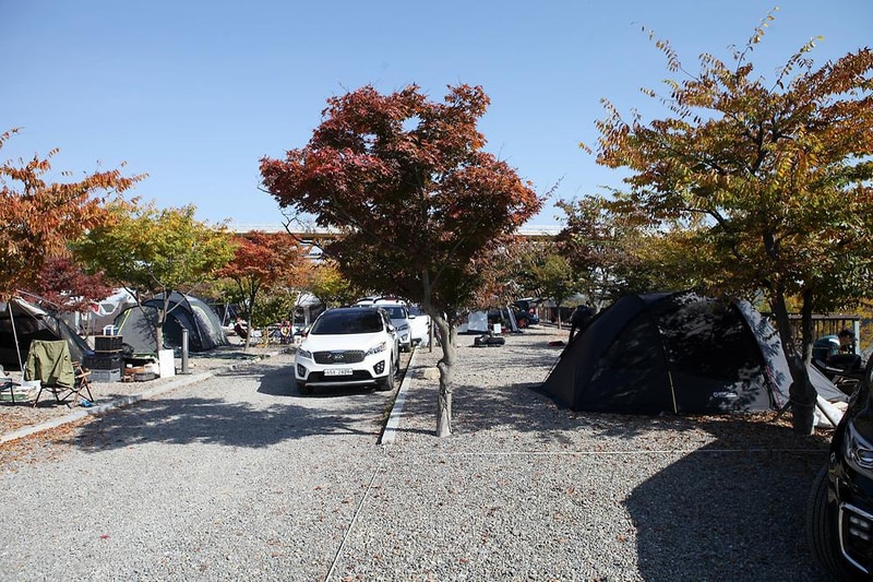 장남동산농원 시설 사진 7