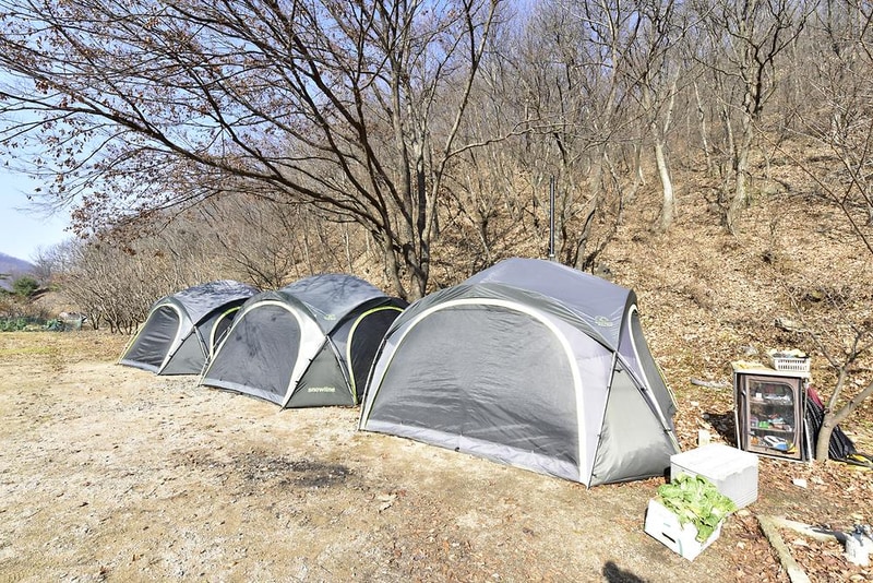 씨밀레자연관광농원 시설 사진 2