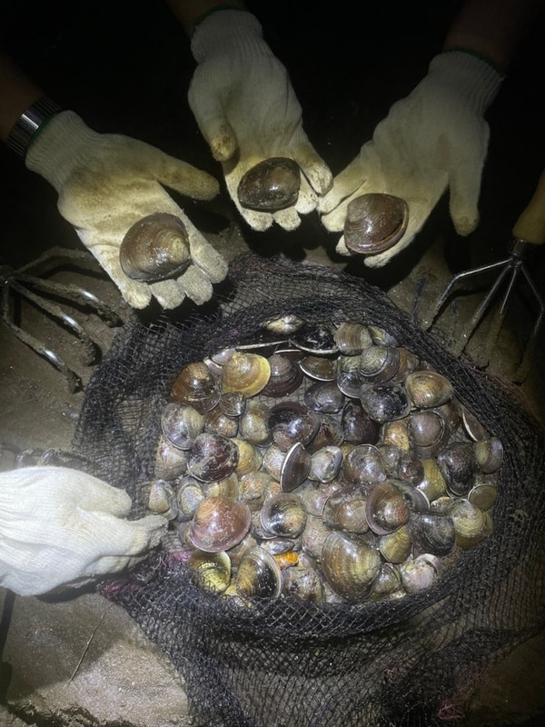 충남 서천 갯벌 체험 추천 “별빛갯벌 캠핑장”