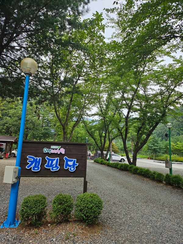 강원도 양양 오색허브농원캠핑장 으로 가족 여름휴가이야기