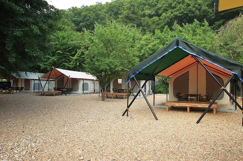 늘푸른 체험학교 대표 사진