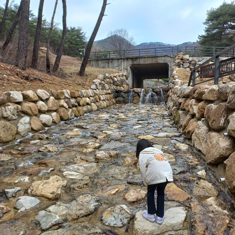 STX오토캠핑장 시설 사진 4