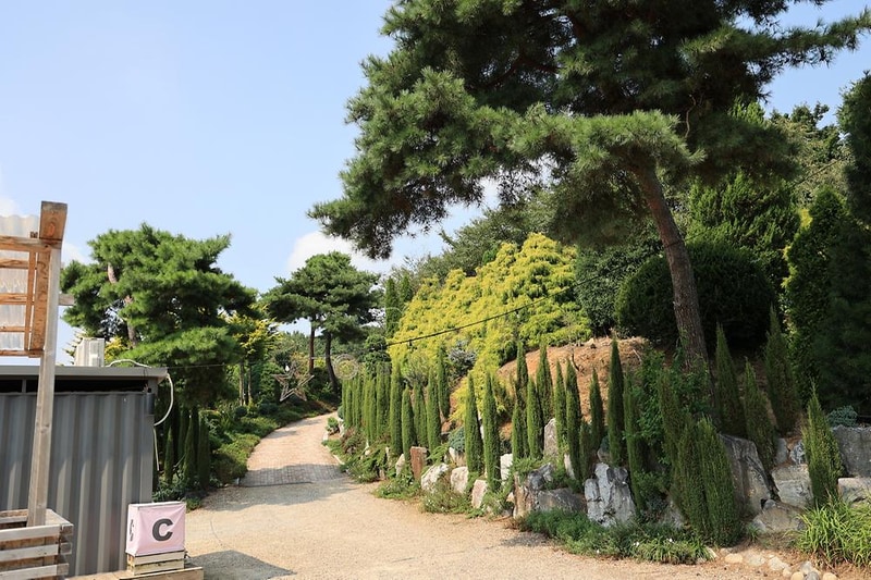 파이브이모션관광농원 시설 사진 13