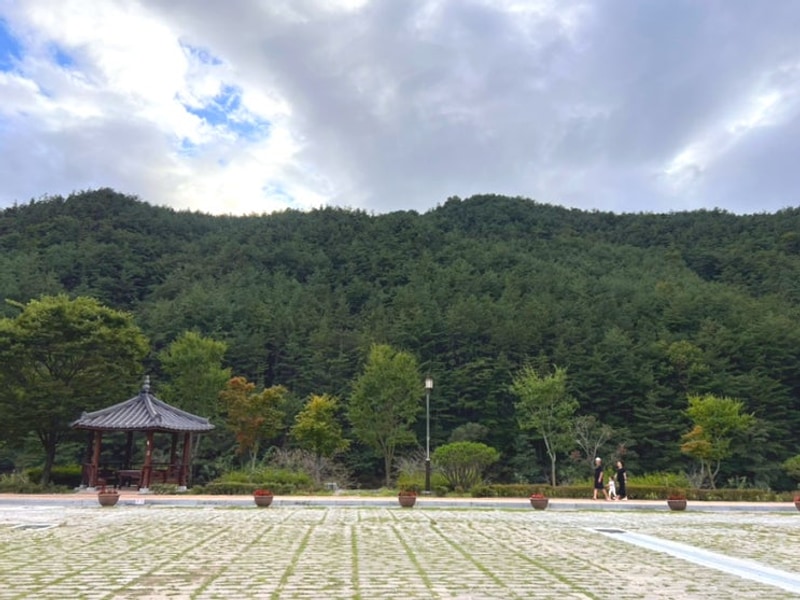 경남거창  벚꽃명소 수승대 출렁다리 오토캠핑장 &야영장 예약