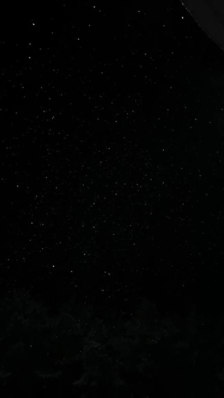 보령  용두해수욕장 숲속야영장