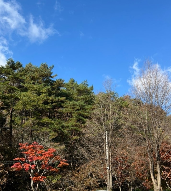 06 캠핑)경기도 포천 예담가족캠핑장 후기