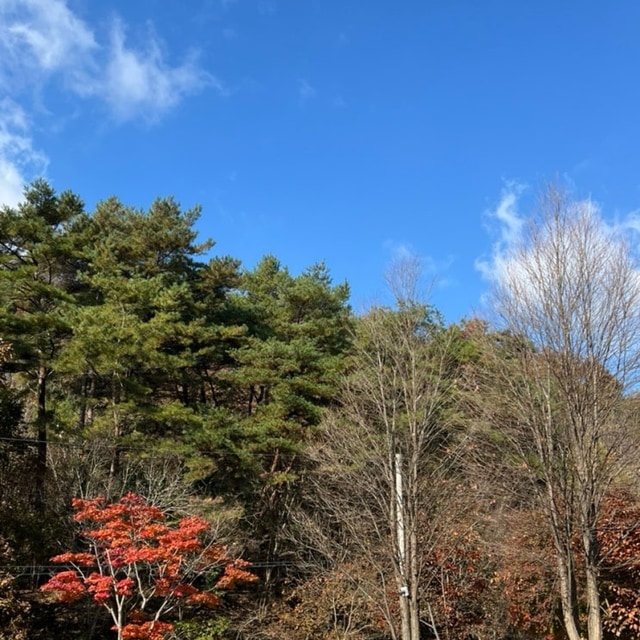 예담가족캠핑장