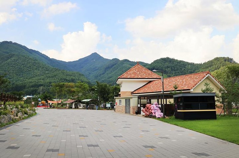 평창 국민여가캠핑장 대표 사진