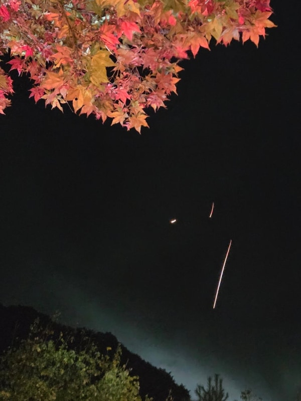 내린천글램핑(강원도 인제/1박2일/글램핑)