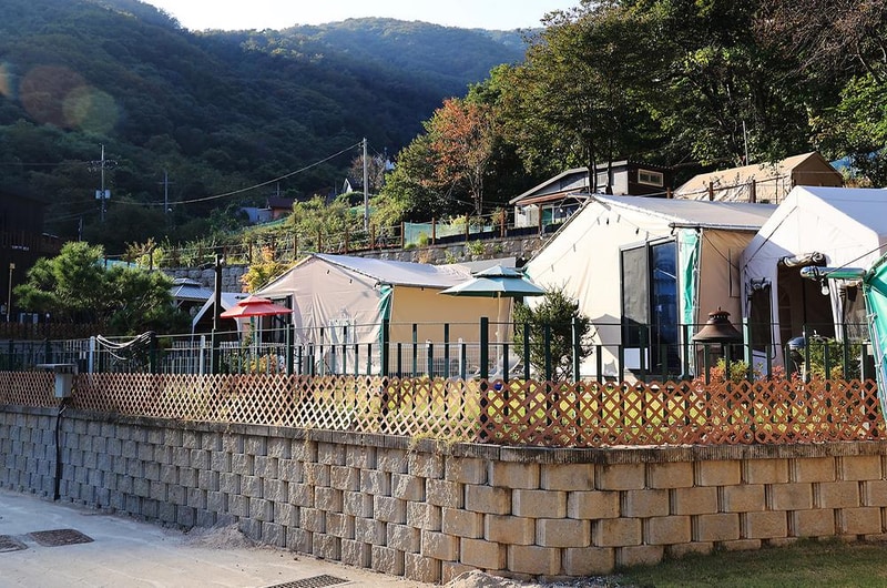 캠프위드펫&애견글램핑 시설 사진 13