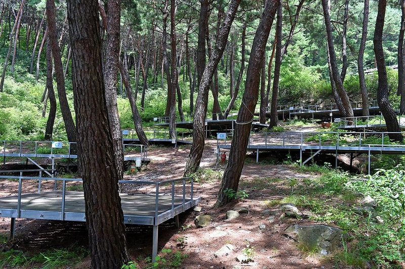 남원 자연휴양림 시설 사진 6