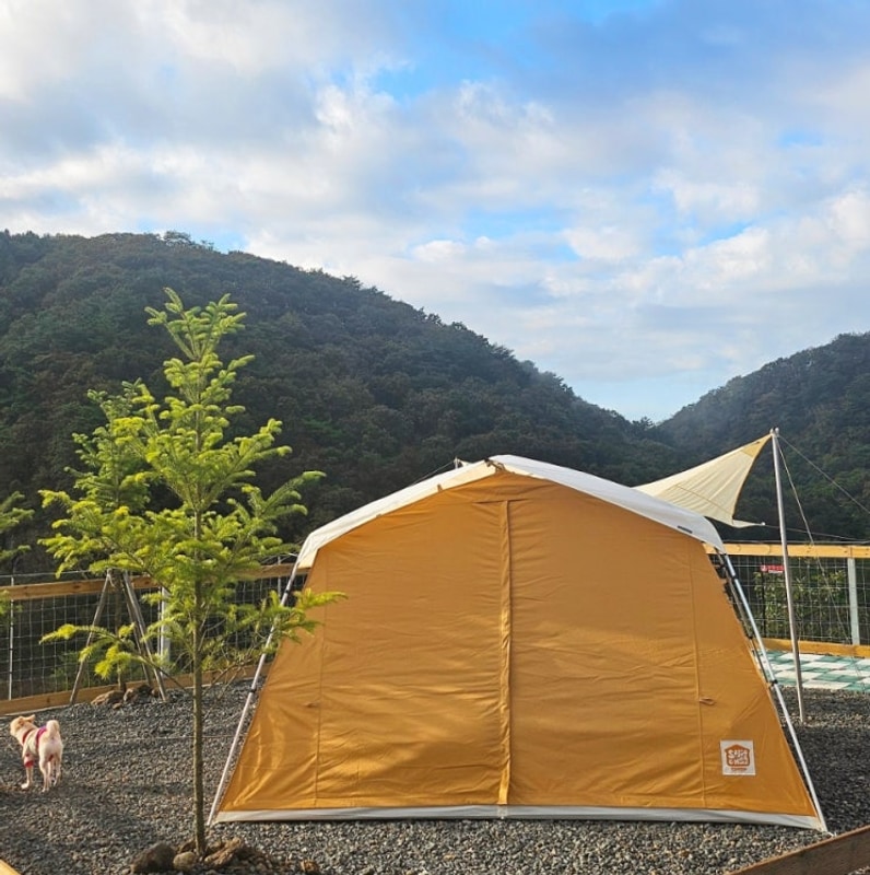 연천 아미힐캠핑장 B-5 사이트후기 애견동반 울타리...