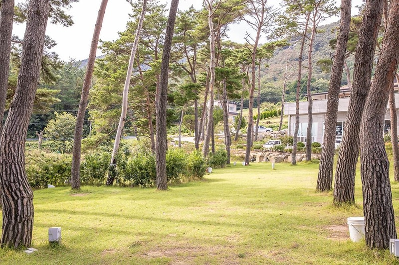 솔내음 물댄동산 야영장 시설 사진 17