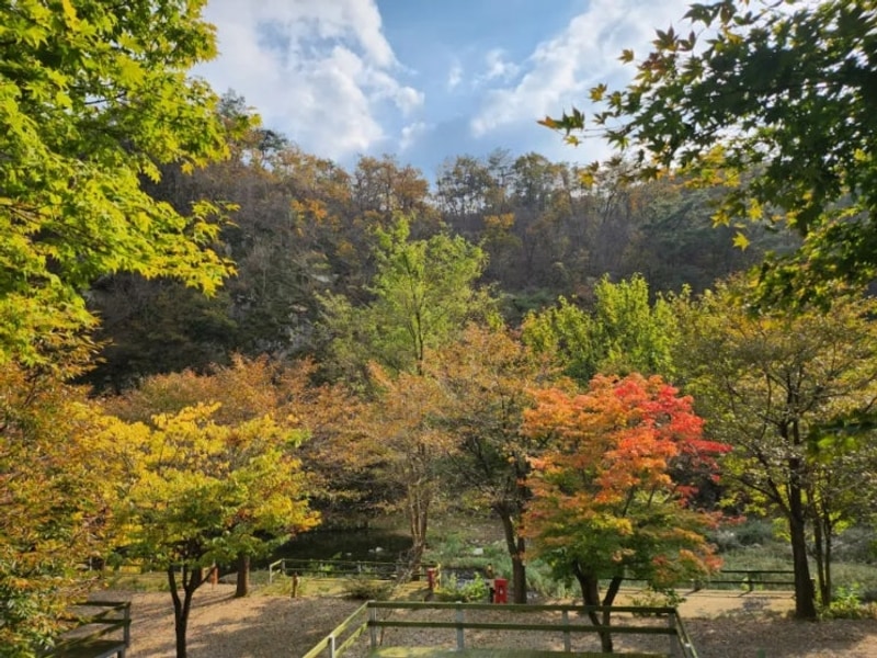 횡성 초보캠핑장 D5