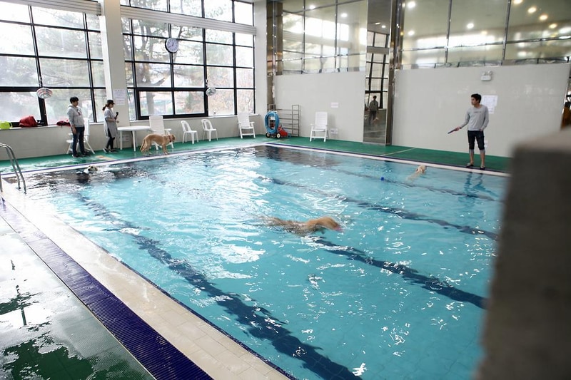 MK골드캠프 시설 사진 5