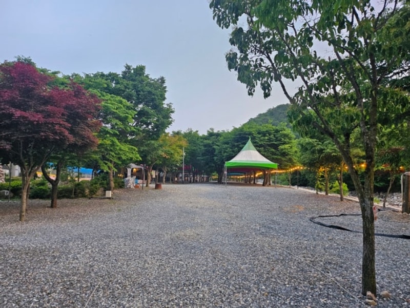 완주 로뎀하우스 캠핑장: 계곡·트램폴린·탁구까지 풀코스로...
