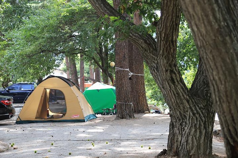 돌배야영장(제1야영장) 대표 사진