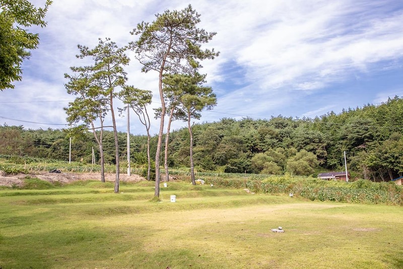 솔내음 물댄동산 야영장 시설 사진 6