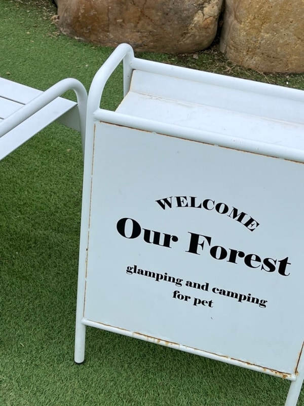 애견 전용 개별 울타리 캠핑장 가평 아워 포레스트 내돈내산...