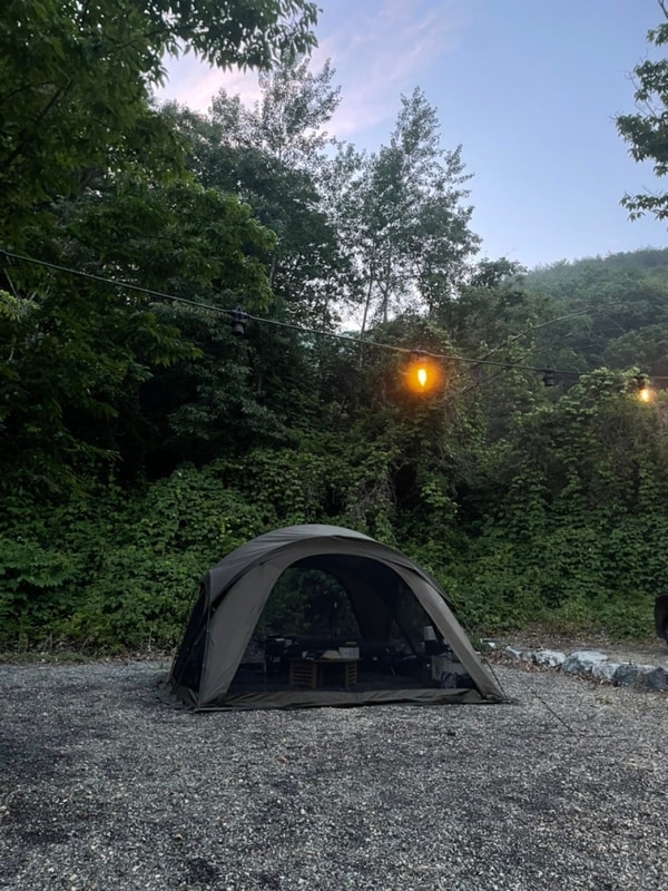 [경북/청도] 수영장이 있는 애견동반 가능 캠핑장 : 팜스토리...