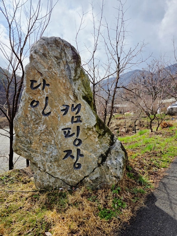서울근교 캠핑장 추천/ 천안... 내돈내산 후기/ [다인캠핑장]