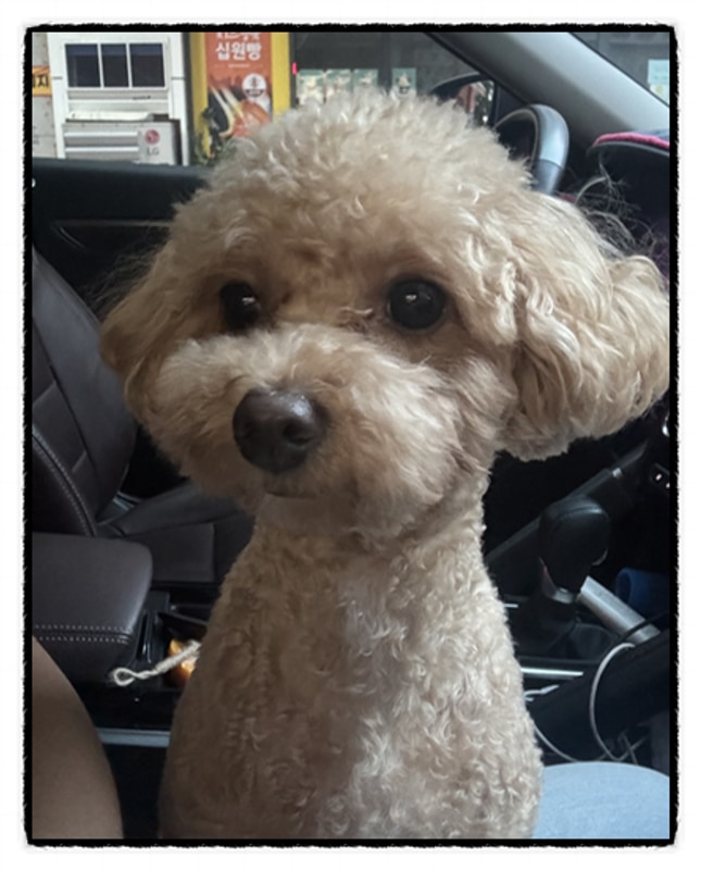 포천 비둘기낭캠핑장 예약성공!!